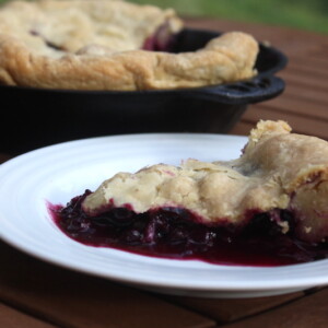 Blueberry Pie Slice