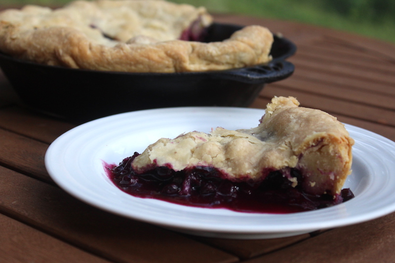 Blueberry Pie Slice