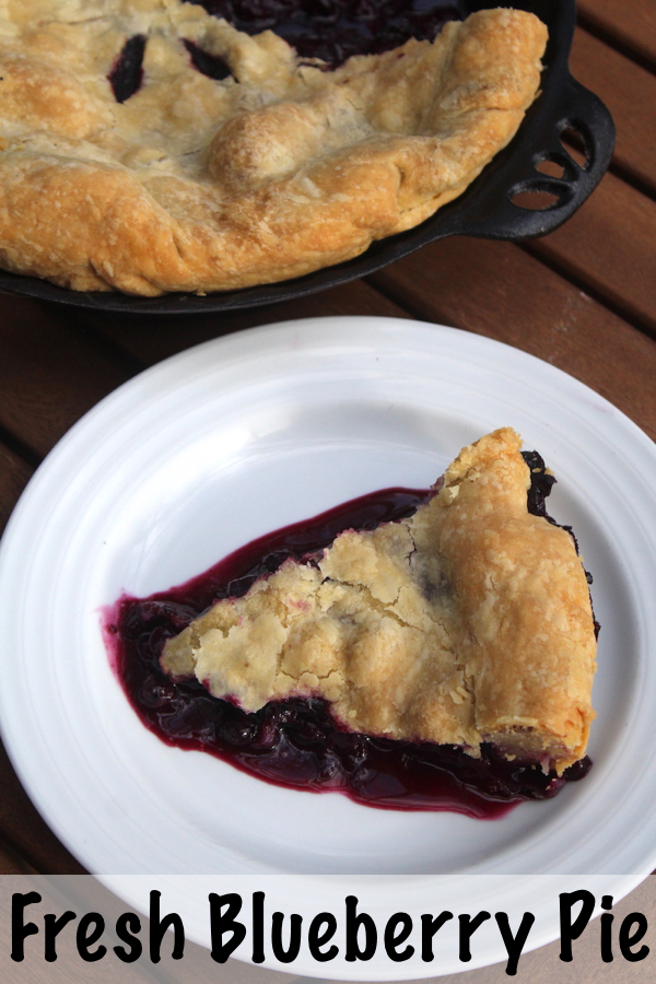 Fresh Blueberry Pie