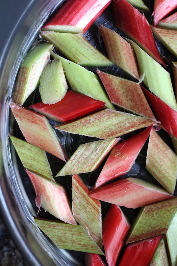 Arranging Rhubarb for Cake