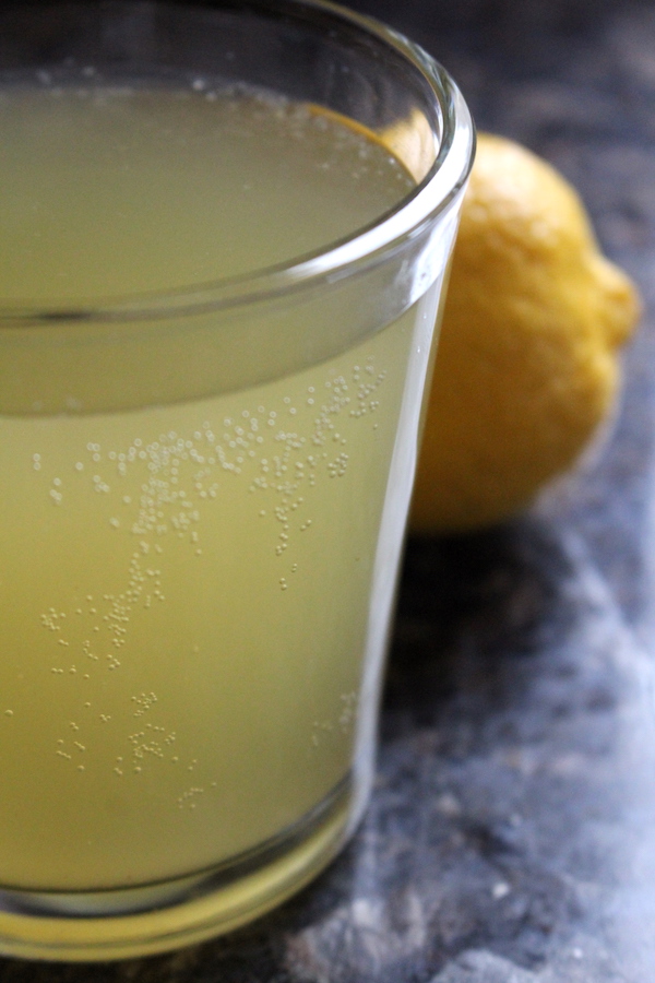 Finnish Fermented Lemon Soda