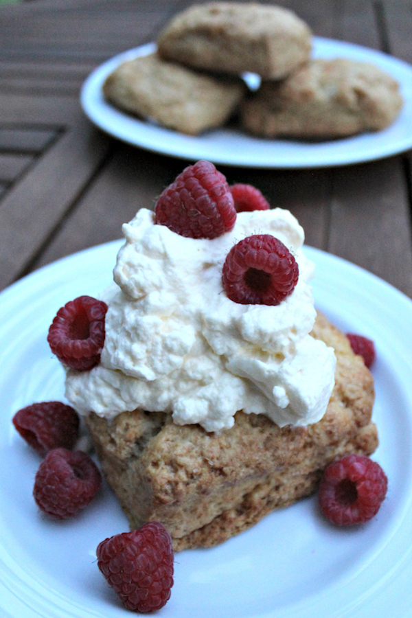 Honey Whole Wheat Shortcakes