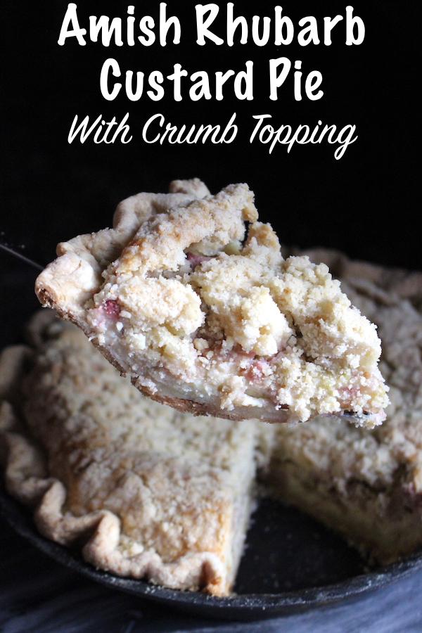 Amish Rhubarb Custard Pie with Crumb Topping ~ Looking for a creative rhubarb recipe? This old school pie tastes balances rich custard against tart rhubarb for the perfect spring pie.