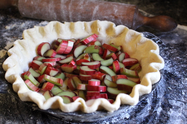 Rhubarb in pie shell for rhubarb custard pie