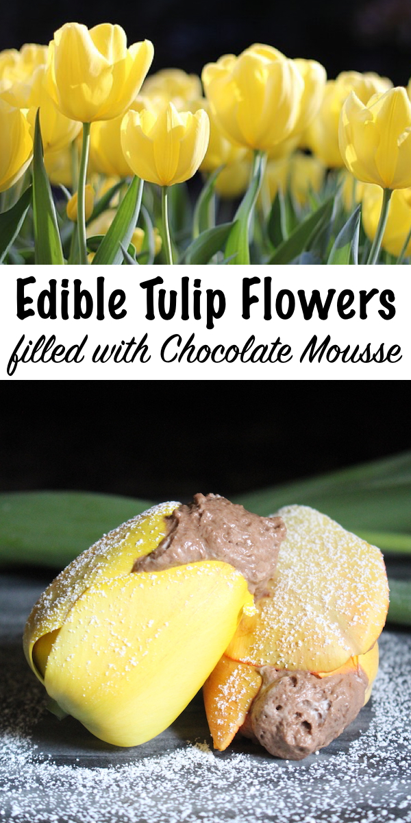 Tulip Flowers Filled with Chocolate Mousse ~ That's right, Tulips are edible flowers! They're lovely in both sweet and savory recipes, and tulips make the perfect cups for rich chocolate mousse.