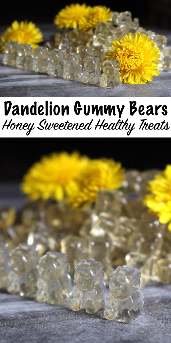 Dandelion & Honey Gummy Bears