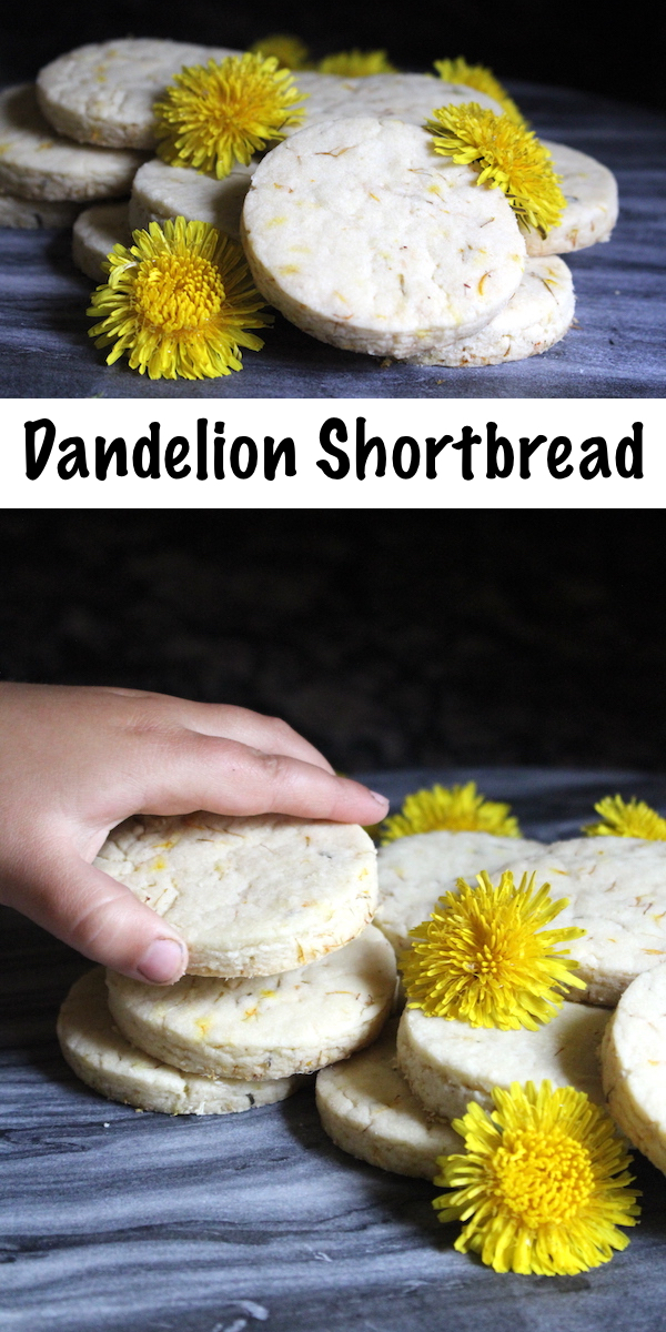 Dandelion Cookies ~ Looking for another creative way to use dandelions? This simple dandelion shortbread recipe takes and old school classic and adds a wild foraged twist. It's simple enough that kids can make it, but tasty enough to please just about everyone. If you need a dandelion recipe, here's a good place to start.
