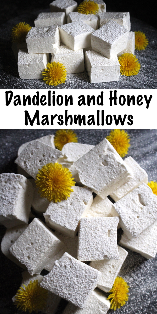 Dandelion and Honey Marshmallows ~ These homemade marshmallows are made without corn syrup and flavored with dandelion petals for a unique herbal treat. The kids will love this honey flavored wild foraged treat!