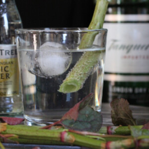 Japanese Knotweed Gin and Tonic