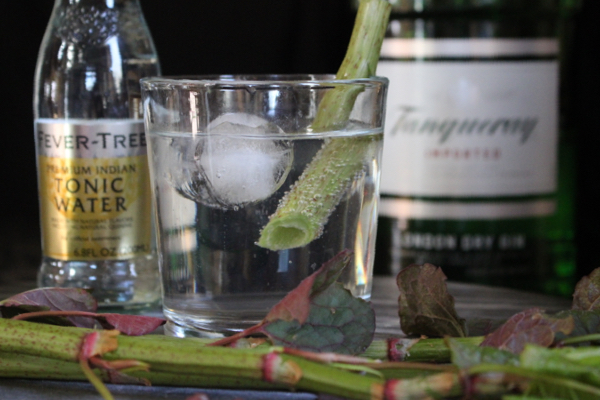 Japanese Knotweed Gin and Tonic