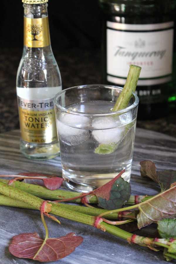 Japanese Knotweed Gin and Tonic