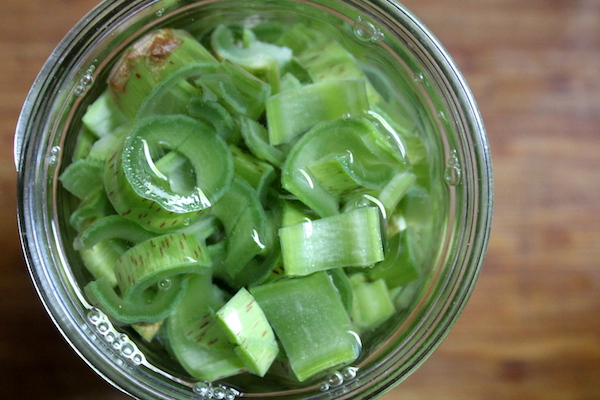 Japanese Knotweed Infused Alcohol