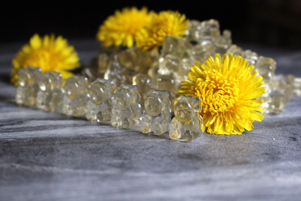 Homemade dandelion gummy bears ~ A healthy wild foraged treat