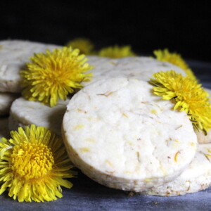 Dandelion Shortbread Cookies ~ A wild foraged twist on an old school classic