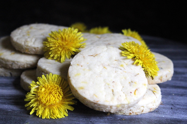 Dandelion Shortbread Cookies ~ A wild foraged twist on an old school classic