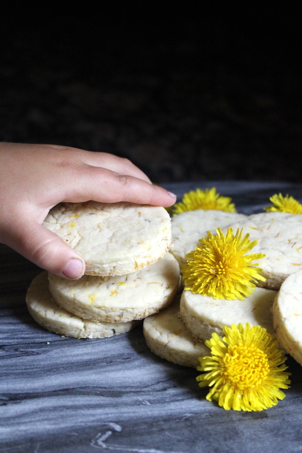 Dandelion Cookies ~ These dandelion shortbread cookies are a new twist on an old school classic. This easy kid friendly recipe is a perfect way to bring a little nature into the kitchen. Looking for a simple dandelion recipe? Look no further!