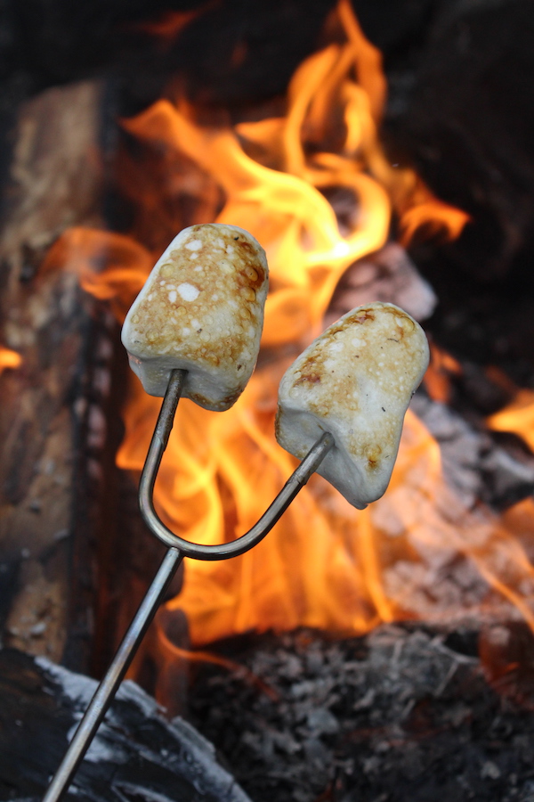 toasting homemade honey marshmallows over an open fire