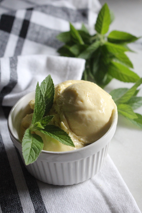 Homemade Fresh Mint Ice Cream Recipe