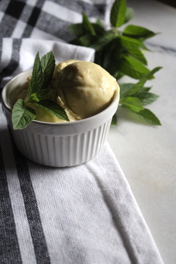 Homemade Fresh Mint Ice Cream (with or without an ice cream maker)