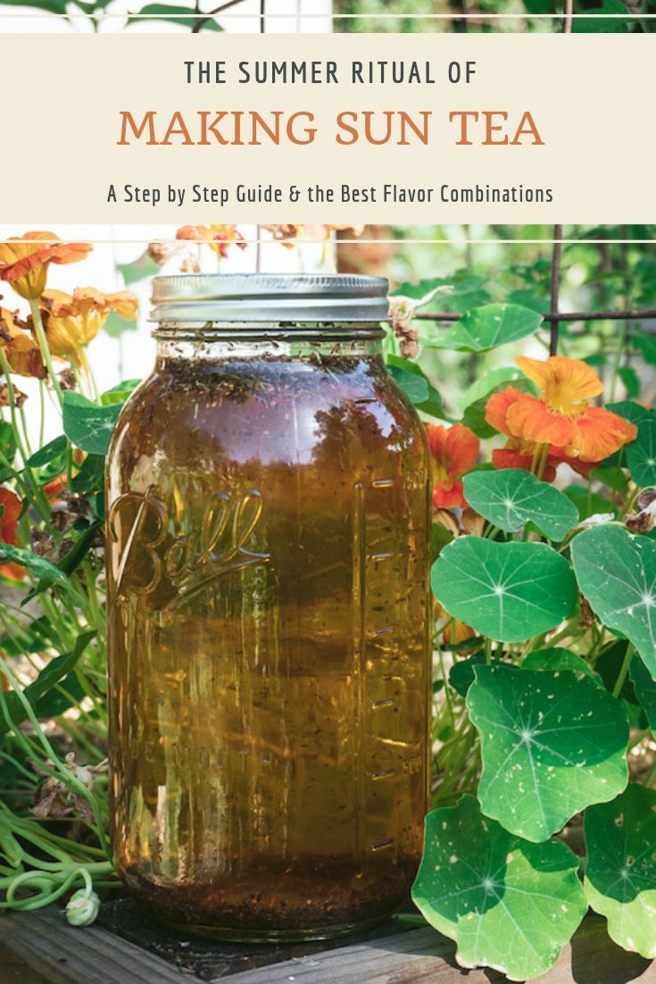 How to Make Sun Tea - The Seasoned Mom