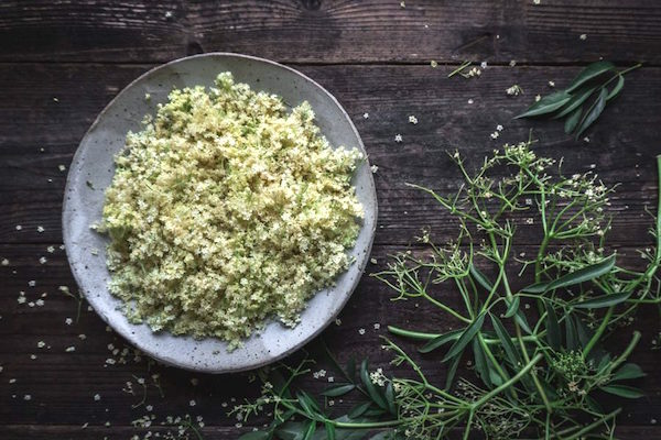 bowl filled with elderflower blossoms picked off the stems, which rest next to the bowl