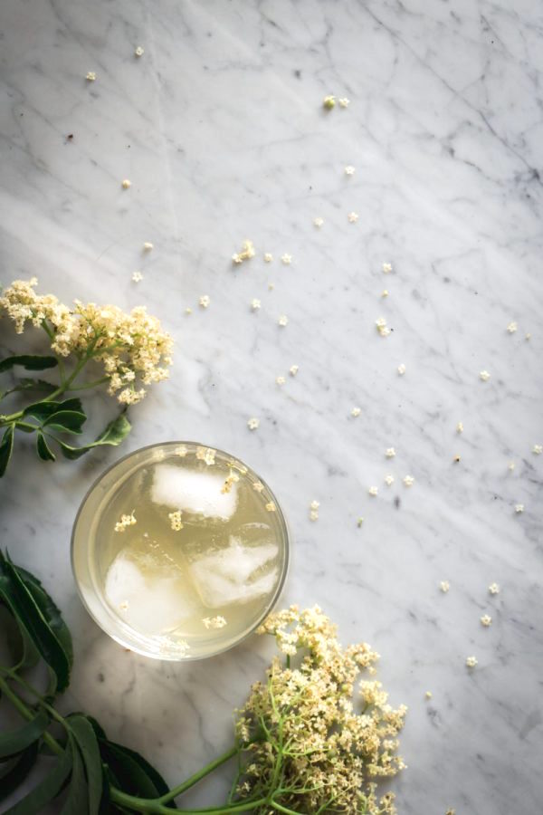 Homemade Elderflower Cordial in a cocktail glass as a mixed drink.