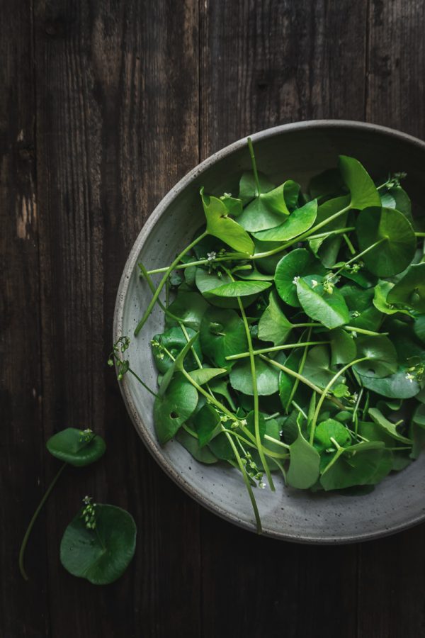 bowl of green miner's lettuce leaves on a wood table. 