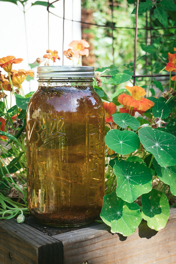 A jar of homemade sun tea brewing outdoors in the garden