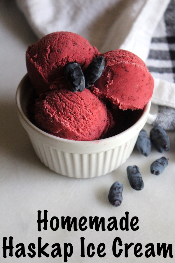 Homemade Haskap Ice Cream is the Perfect way to use up tart honeyberries (haskap berries) in season.