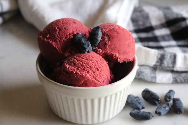 Homemade Haskap Ice Cream (Honeyberry Ice Cream)