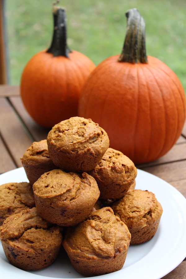 Pumpkin Almond Butter Muffins