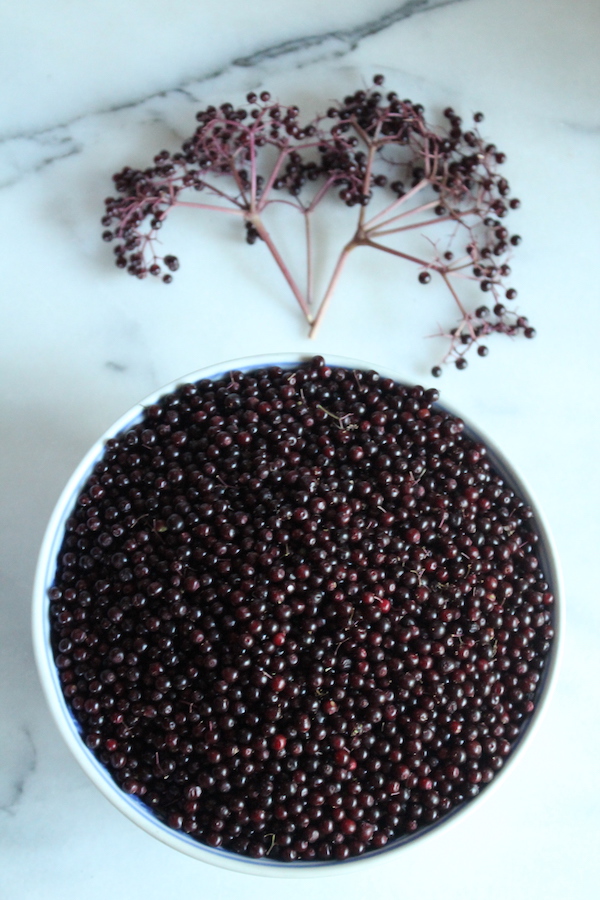 Bowl of fresh elderberries with stems removed to prepare them for pie