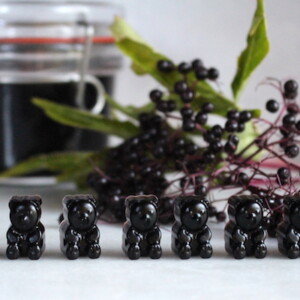 Homemade Elderberry Gummies made from elderberry syrup with raw honey.