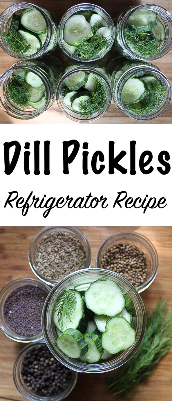 Refrigerator Dill Pickles - Quick and Easy Recipe — Practical Self Reliance #pickles #dillpickles #recipe #pickling #canning #foodpreservation #homesteading #selfsufficiency #prepper #refrigeratorpickles #fridgepickles
