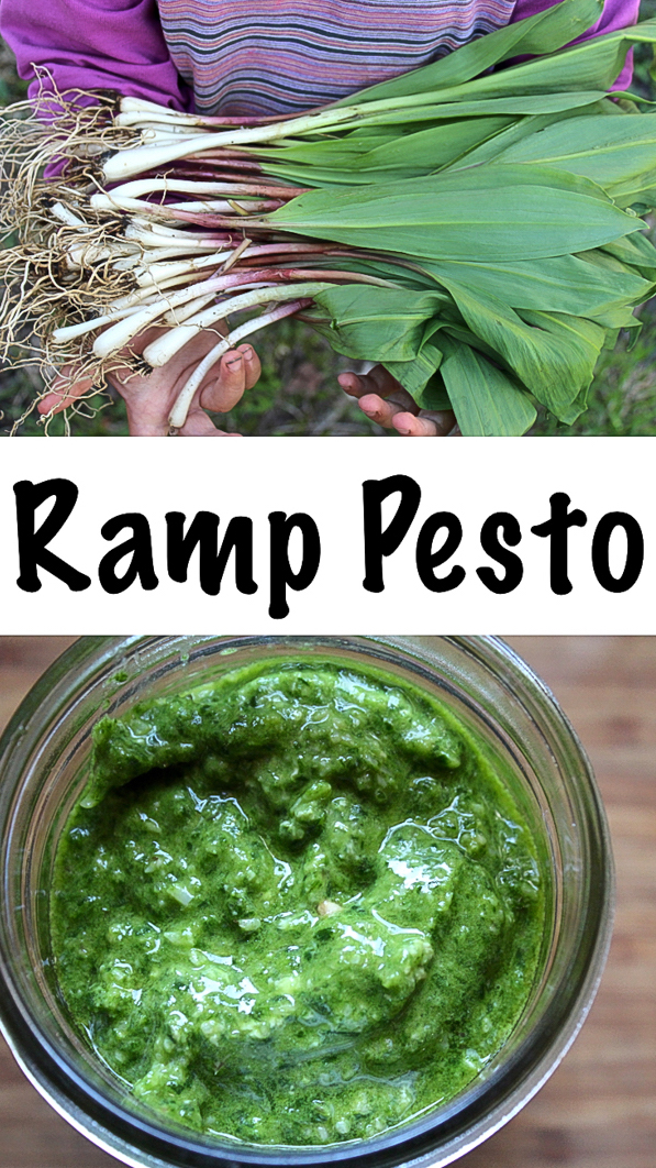 Ramp Pesto Recipe #ramps #wildramps #pesto #pestorecipe #rampsrecipe #wildfood #forage #foraging #selfsufficiency