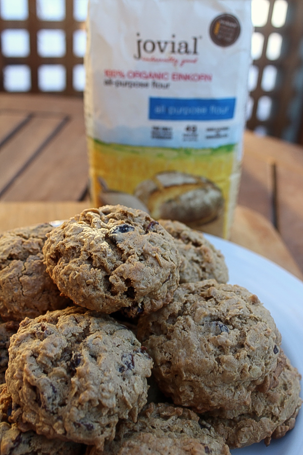 Einkorn Oatmeal Raisin Cookies jovial flour