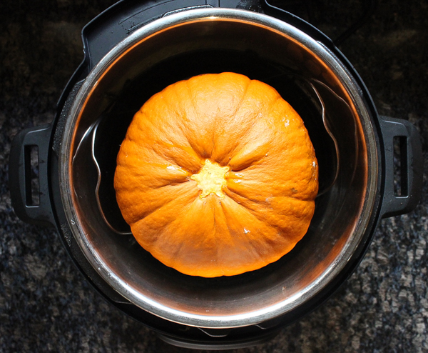 Cooking pumpkin best sale in instant pot