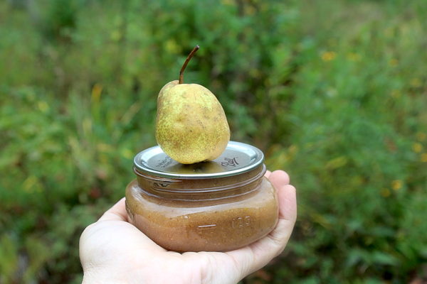 Canned Pear Butter