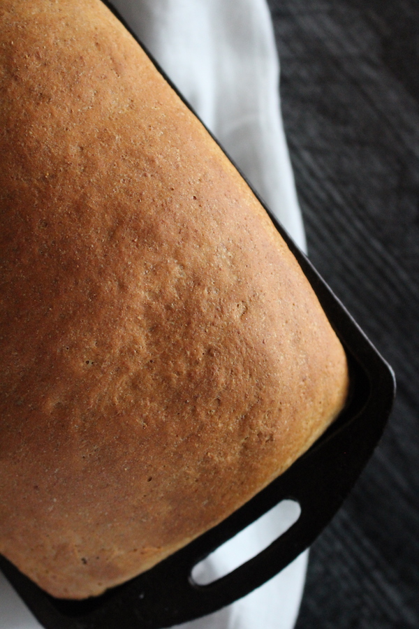 Homemade Honey Wheat Bread