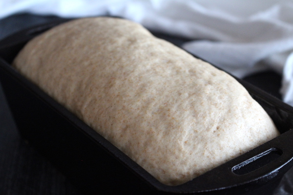 Honey Wheat Bread Dough Rising in Pan