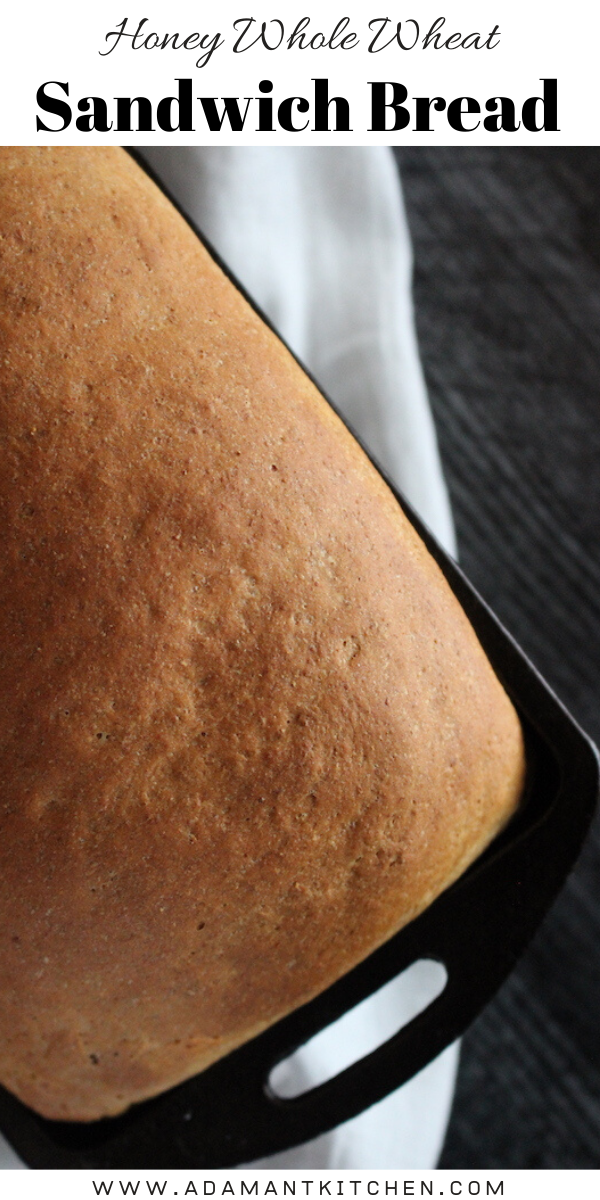 Honey Whole Wheat Sandwich Bread