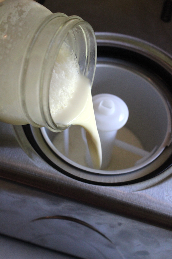 Adding Sweet Cream Ice Cream Base to Ice Cream Maker