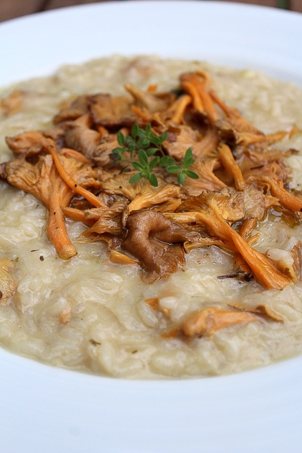 Chanterelle Risotto - Adamant Kitchen