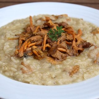 Chanterelle Risotto