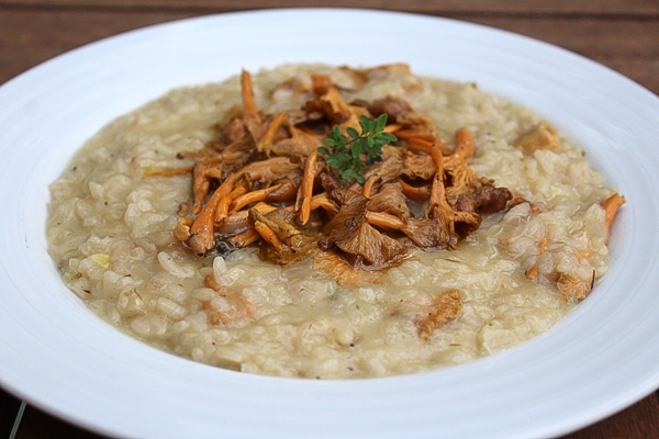 Chanterelle Risotto