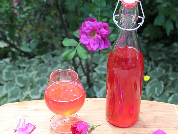 Homemade Rose Cordial