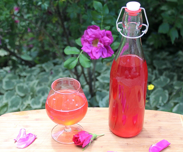 Homemade Rose Cordial