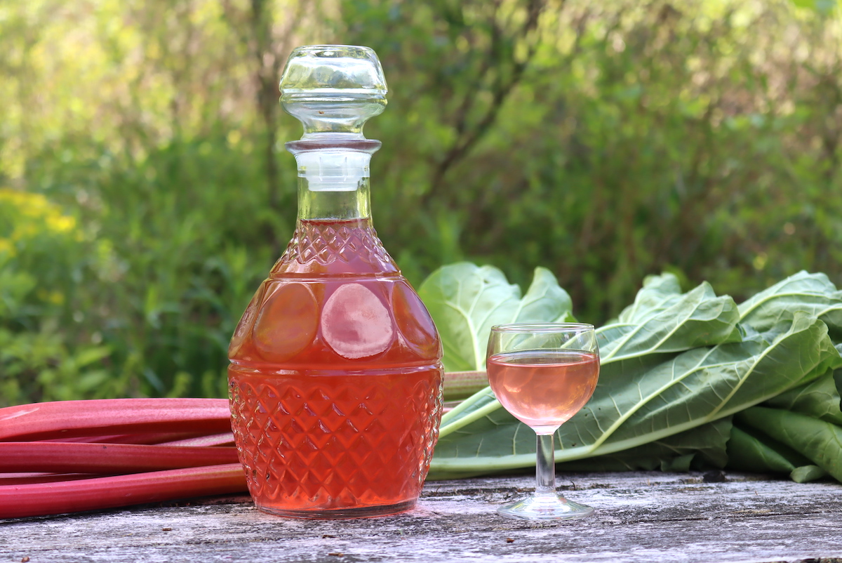 Rhubarb Liqueur