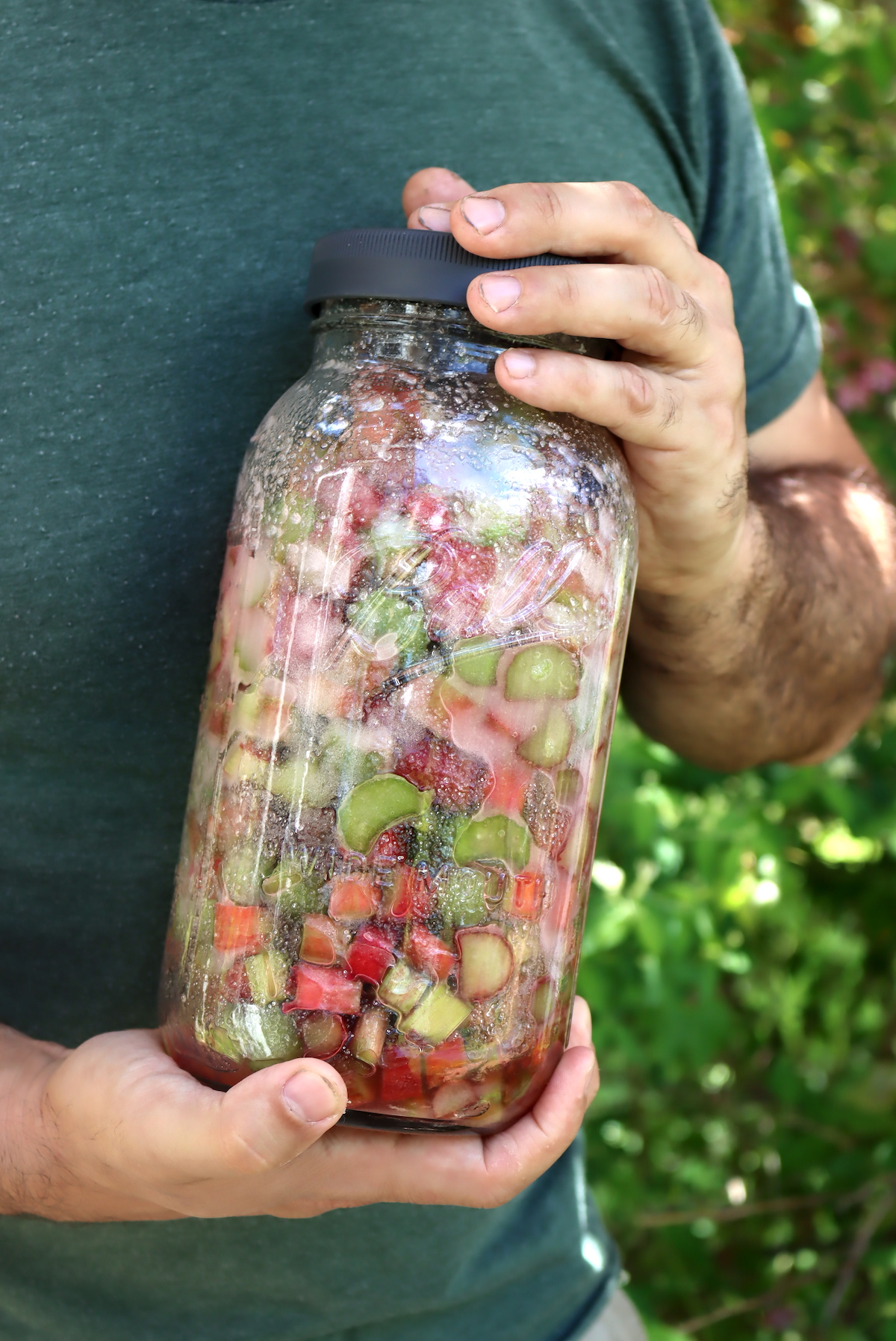 Making Rhubarb Liqueur