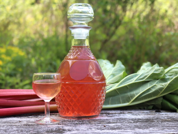 Rhubarb Liqueur